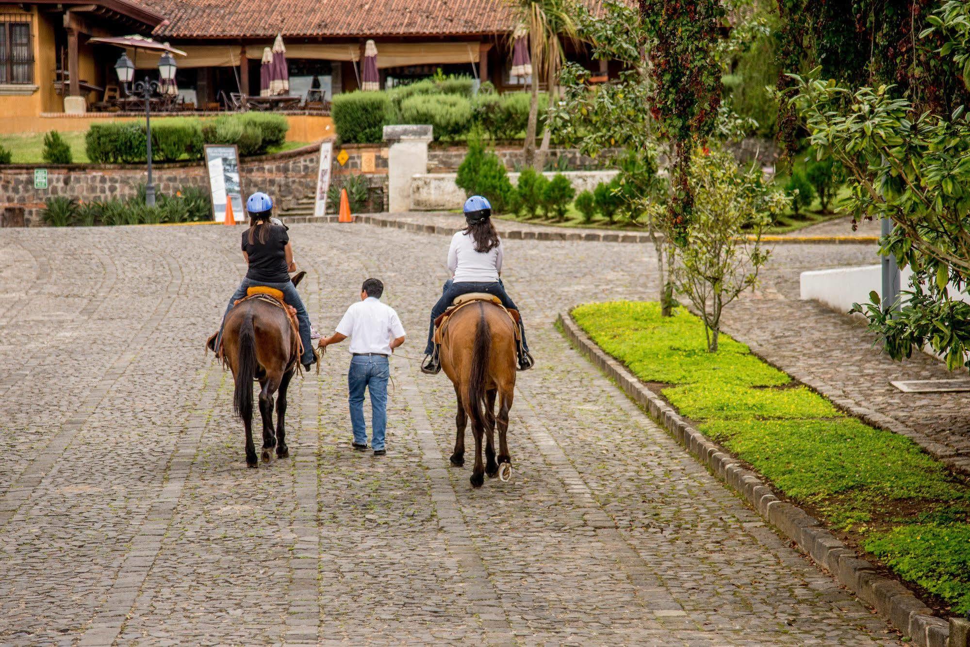 Filadelfia Coffee Resort & Tour Jocotenango Bagian luar foto
