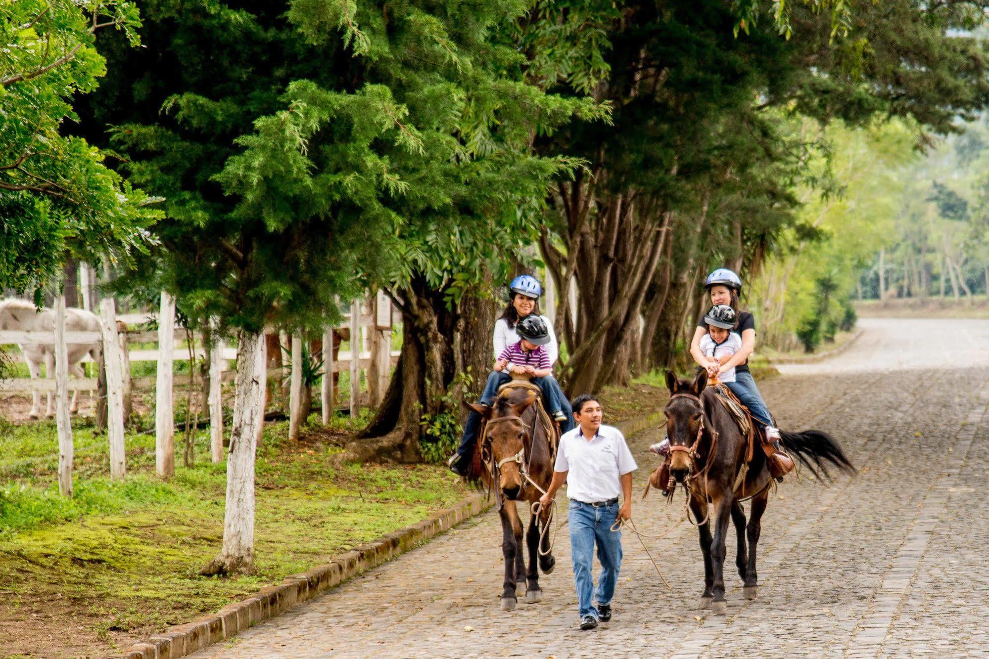 Filadelfia Coffee Resort & Tour Jocotenango Bagian luar foto